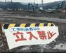 ニッポン狂想曲