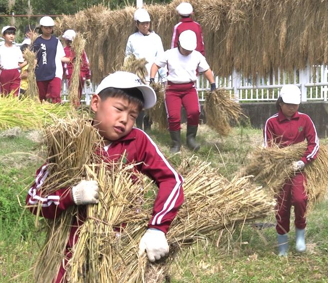 映画『身土不二（しんどふじ）』の画像（10枚目）