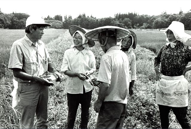 映画『身土不二（しんどふじ）』の画像（14枚目）