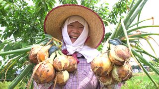 身土不二（しんどふじ）