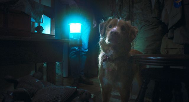 映画『GOOD BOY／グッド・ボーイ』の画像（2枚目）