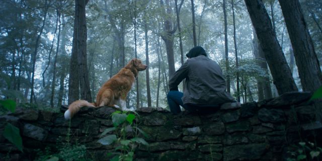 映画『GOOD BOY／グッド・ボーイ』の画像（3枚目）