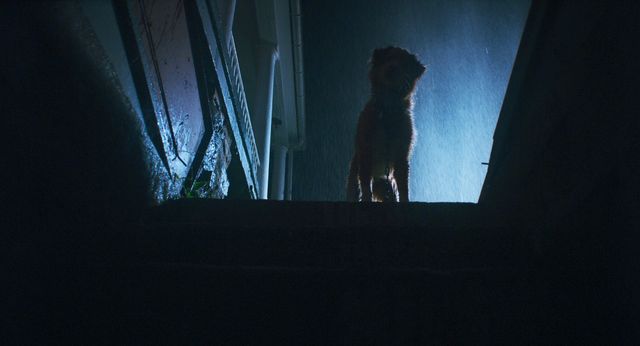 映画『GOOD BOY／グッド・ボーイ』の画像（4枚目）