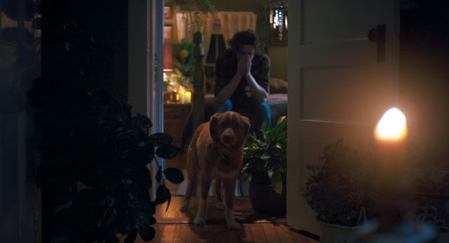 映画『GOOD BOY／グッド・ボーイ』の画像（5枚目）