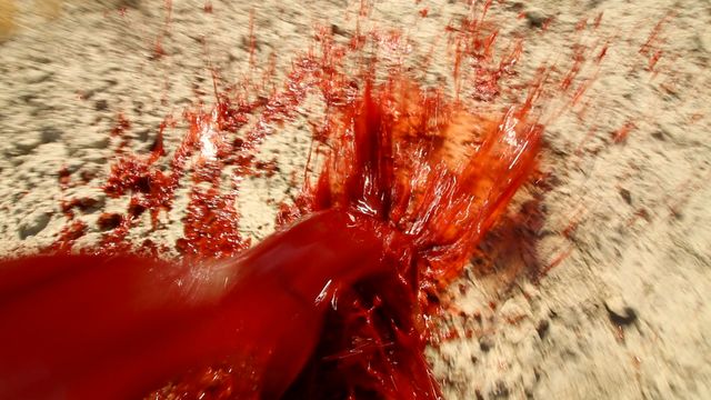 映画『アウトウォーターズ　裂けた砂漠』の画像（7枚目）