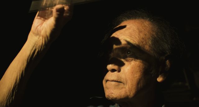 映画『100万カットの記憶』の画像（2枚目）