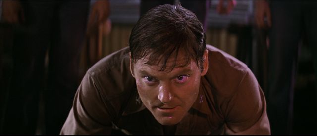 映画『トゥインクル・トゥインクル・キラー・カーン』の画像（2枚目）