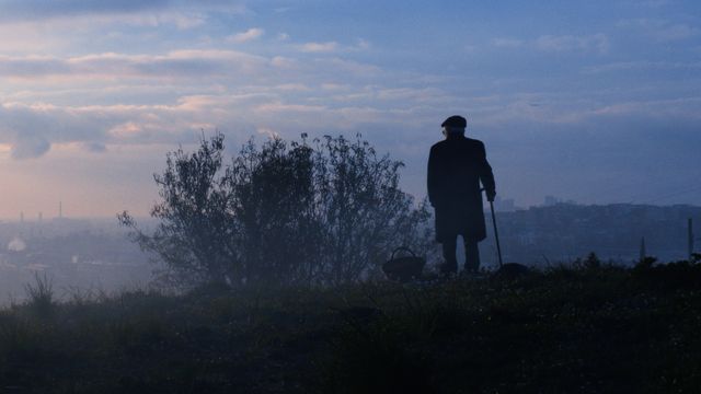 映画『よき谷の物語』の画像（7枚目）