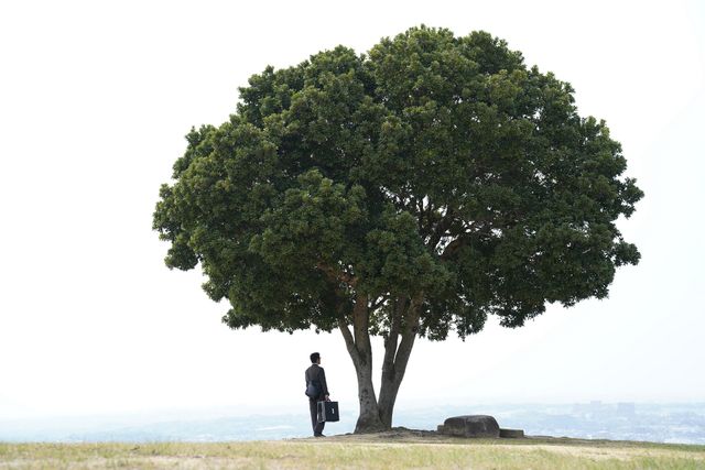 映画『八月の声を運ぶ男』の画像（7枚目）