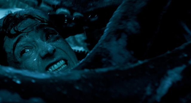 映画『クジラに落ちた男』の画像（5枚目）