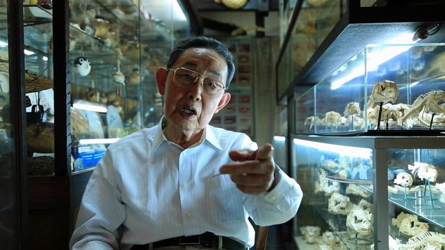 映画『GUN FISH あなたの知らないフグの世界』の画像（7枚目）