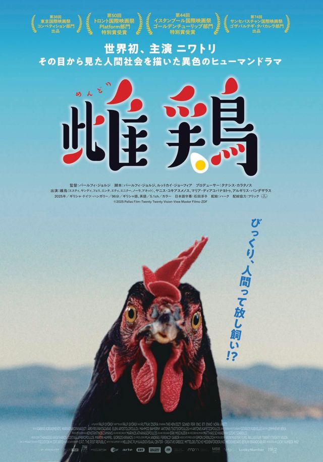映画『雌鶏』の画像（2枚目）