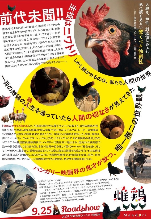 映画『雌鶏』の画像（3枚目）