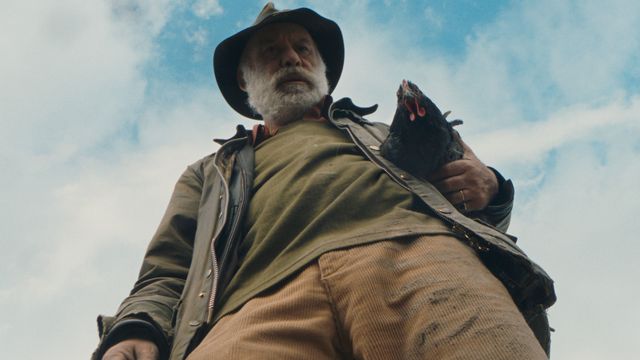 映画『雌鶏』の画像（5枚目）
