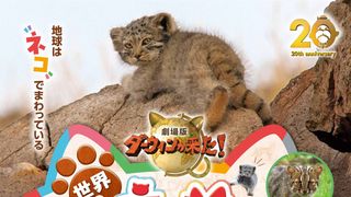 劇場版ダーウィンが来た！世界のネコのなかまたち