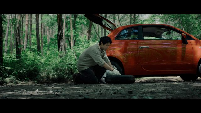 映画『逃げろお嬢さん』の画像（11枚目）