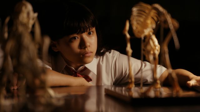 映画『骨とか毒とかカスタネットとか？』の画像（5枚目）