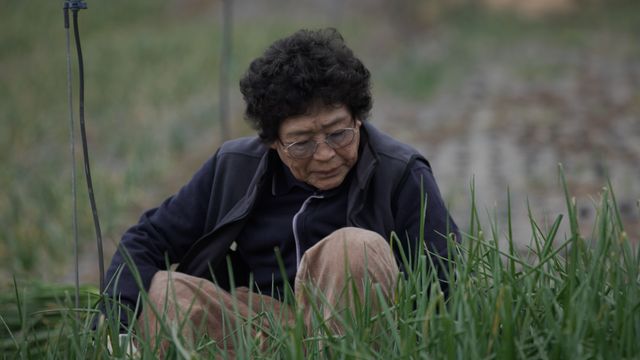 映画『済州島　声たち』の画像（8枚目）