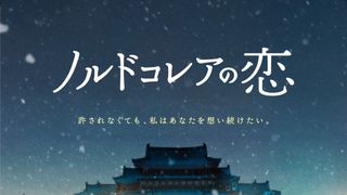 ノルドコレアの恋