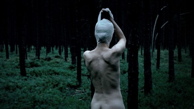 美しい映像の中に潜む狂気…『グッドナイト・マミー』フォトギャラリー：フォトギャラリー