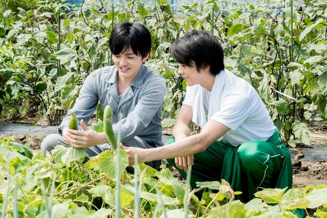 真剣佑ら新キャスト発表！川口春奈×林遣都『にがくてあまい』ギャラリー（16枚目）