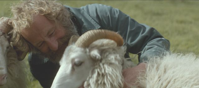 愛した羊のためにおじいちゃんたち、立ち上がる - 映画『ひつじ村の兄弟』より