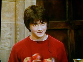 『ハリー・ポッターと賢者の石』サテライト会見（東京）（9枚目）