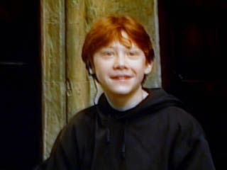 『ハリー・ポッターと賢者の石』サテライト会見（東京）（14枚目）