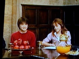 『ハリー・ポッターと賢者の石』サテライト会見（東京）（25枚目）