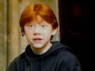 『ハリー・ポッターと賢者の石』サテライト会見（東京）（42枚目）