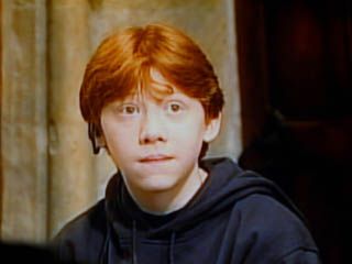 『ハリー・ポッターと賢者の石』サテライト会見（東京）（43枚目）