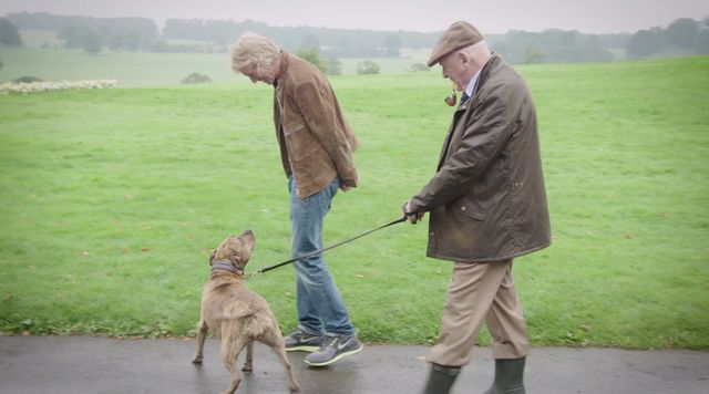 世界一孤独な犬 トランスフォーマー で映画デビュー マイケル ベイが救った命 シネマトゥデイ
