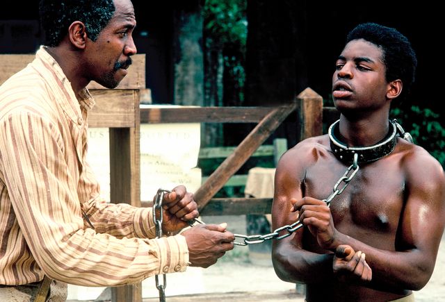 親子3代にわたる黒人奴隷を描いたドラマ「ROOTS/ルーツ」は1977年から放送された