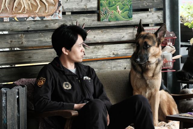 オダギリジョー脚本・演出！豪華キャスト集結のドラマ「オリバーな犬、（Gosh!!）このヤロウ」場面カットほか（4枚目）