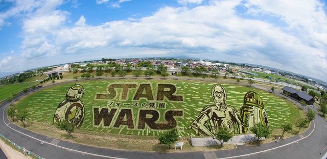 『スター・ウォーズ』田んぼアートが見ごろ！フォトギャラリー：フォトギャラリー