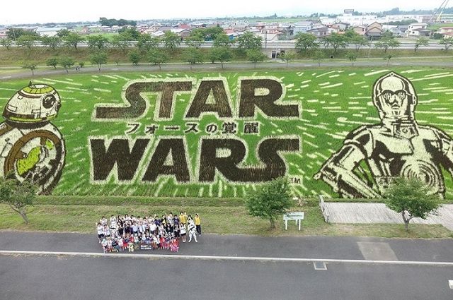 『スター・ウォーズ』田んぼアートが見ごろ！フォトギャラリー（3枚目）