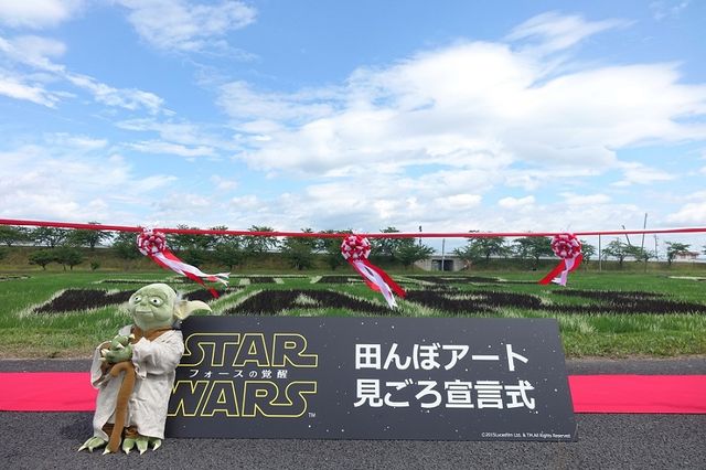 『スター・ウォーズ』田んぼアートが見ごろ！フォトギャラリー（4枚目）