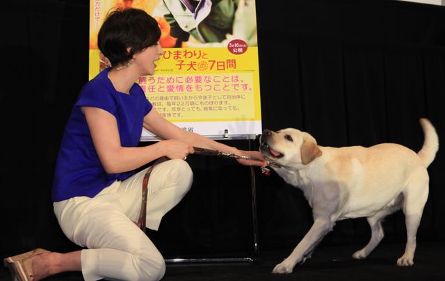 滝川クリステル、転んじゃった…フォトギャラリー（6枚目）