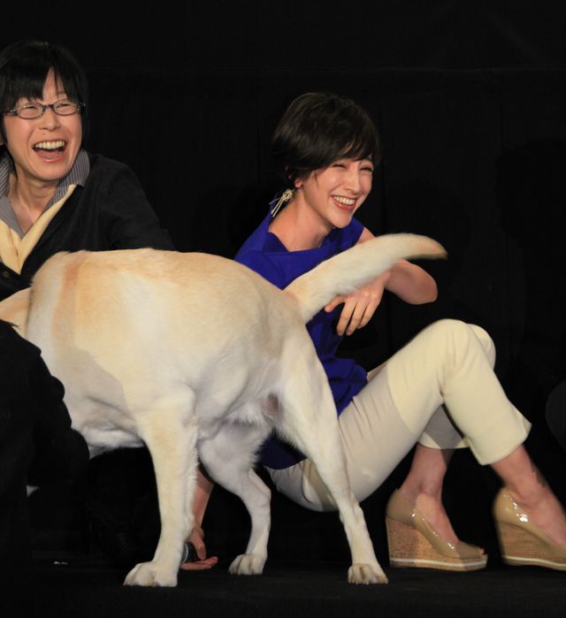 滝川クリステル、転んじゃった…フォトギャラリー（9枚目）