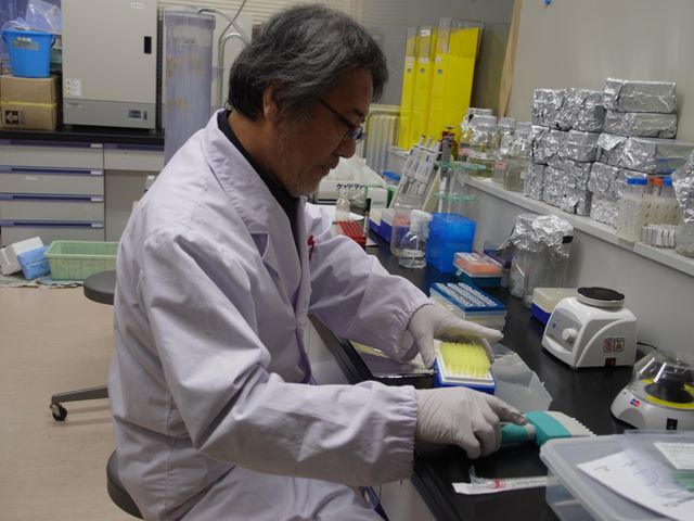 映画『被ばく牛と生きる』フォトギャラリー（4枚目）