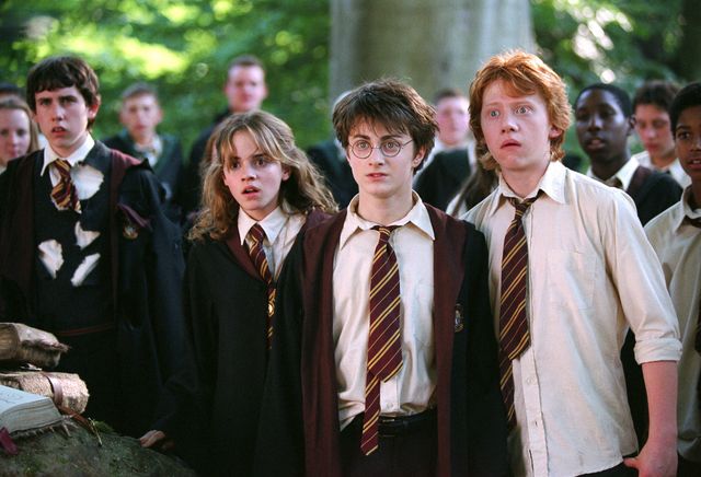 『ハリー・ポッター』シリーズでのネビル（3枚目）