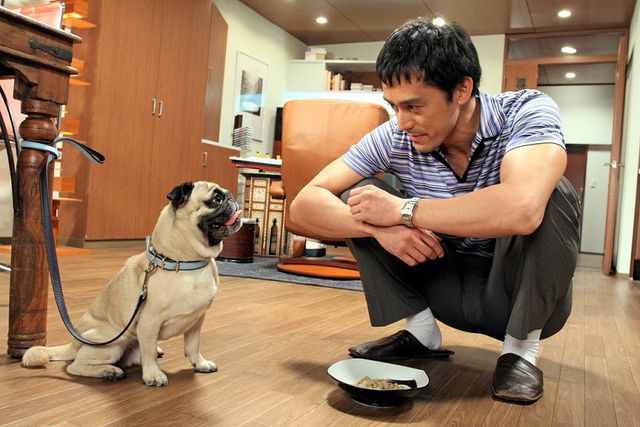 13年前の阿部寛！続編決定　ドラマ「結婚できない男」（3枚目）