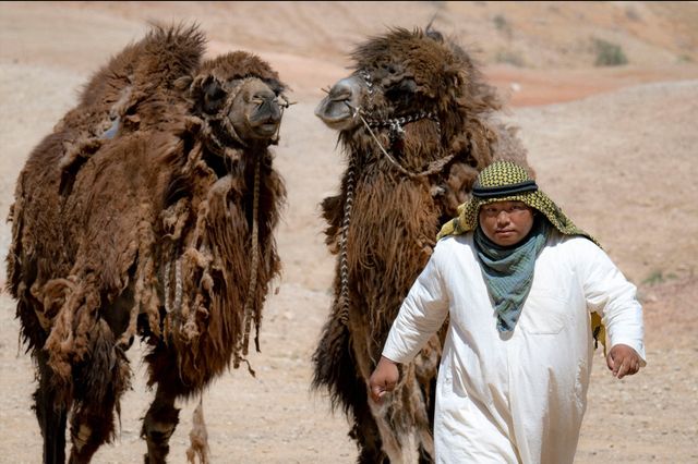 「VIVANT」ラクダの名演技も話題！第3話場面写真（ネタバレあり）（3枚目）