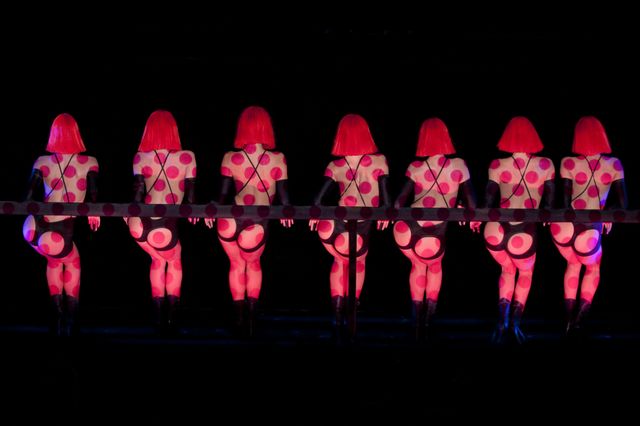 究極セクシー！『クレイジーホース・パリ 夜の宝石たち』フォトギャラリー（3枚目）