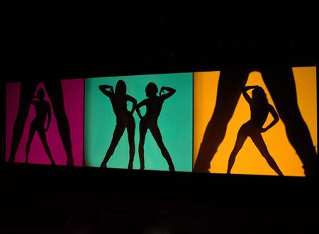 究極セクシー！『クレイジーホース・パリ 夜の宝石たち』フォトギャラリー（5枚目）