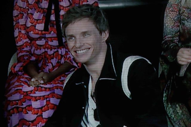 エディ・レッドメインのハートポーズ！『ファンタスティック・ビーストとダンブルドアの秘密』ライトアップ・ファンナイト（20枚目）