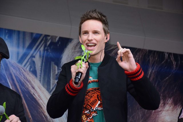 『ファンタビ』一行、ファンに魔法の一夜をプレゼント！フォトギャラリー（11枚目）