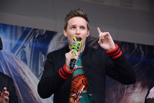 『ファンタビ』一行、ファンに魔法の一夜をプレゼント！フォトギャラリー（12枚目）