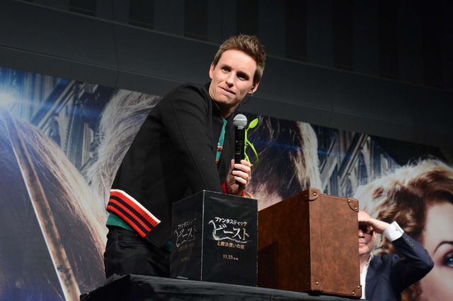 『ファンタビ』一行、ファンに魔法の一夜をプレゼント！フォトギャラリー（19枚目）