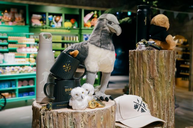 日本初の旗艦店「ハリー・ポッター ショップ 原宿」の内部（11枚目）